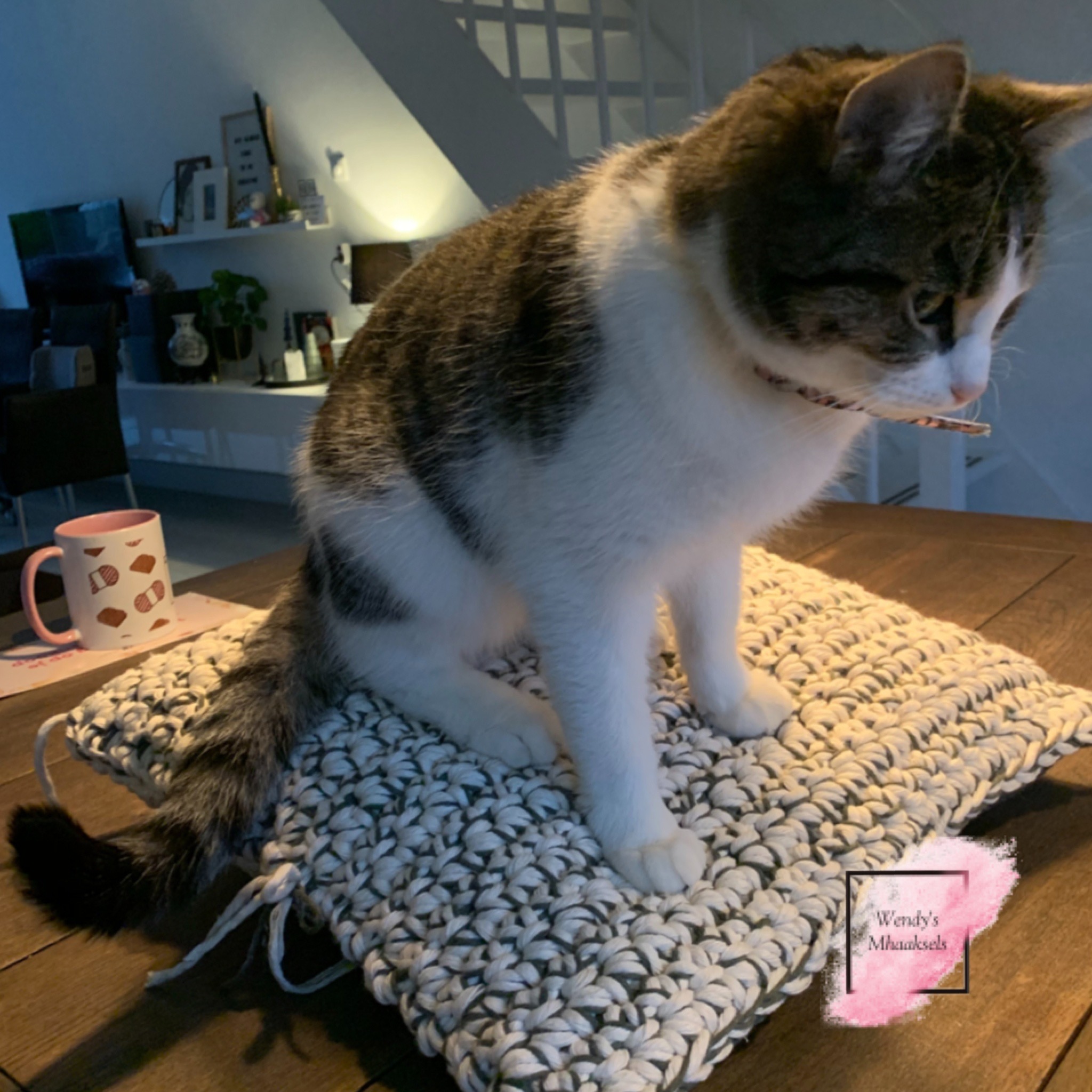 Processed with MOLDIV