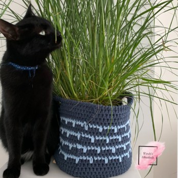 Processed with MOLDIV